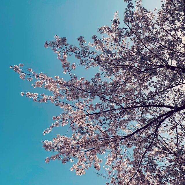 Hotel Wright Style Art Island Naoshima